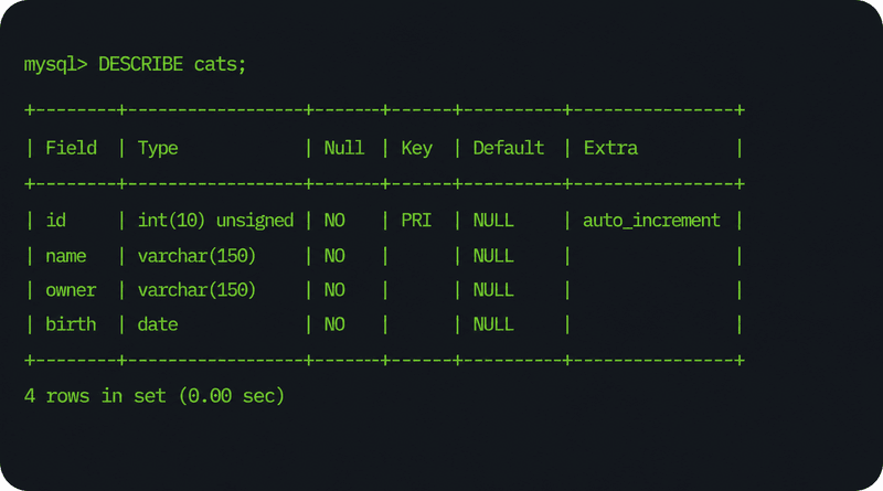 describe-statement-command